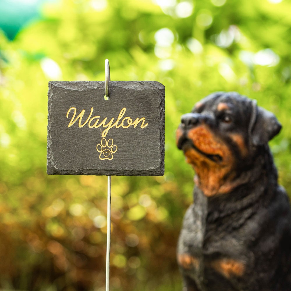 Personalized Pet Memorial Plaque with Hook