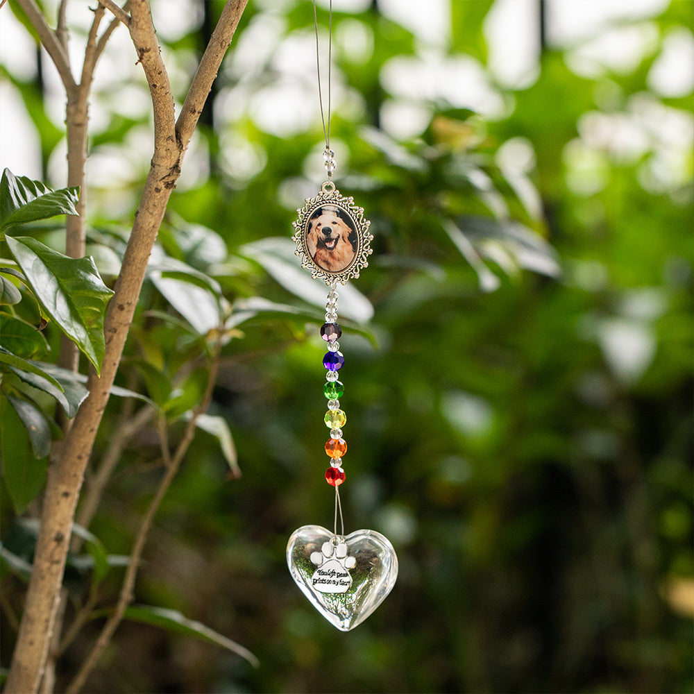 Personalized Rainbow Bridge Pet Loss Suncatcher, Paw Print Suncatcher, Heart Suncatcher with Glass Beads, Pet Memorial Gift, Gift for Pet Lovers